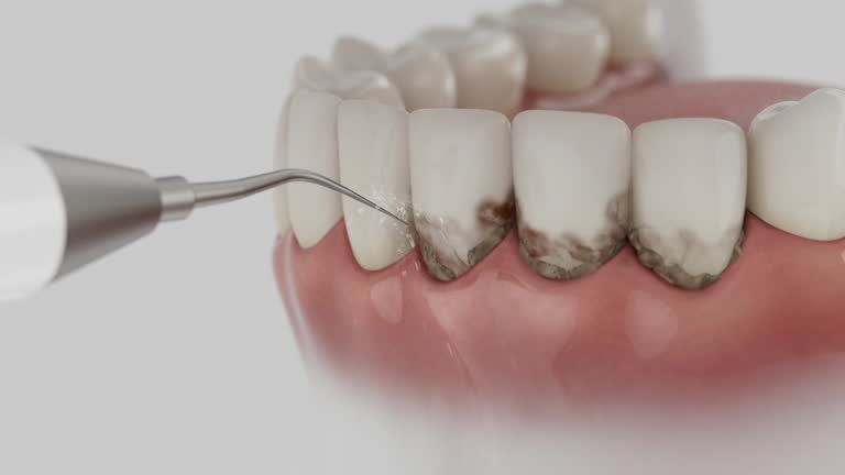 Reliable Dental contractor in Greensboro, AL by Dentist Open Now